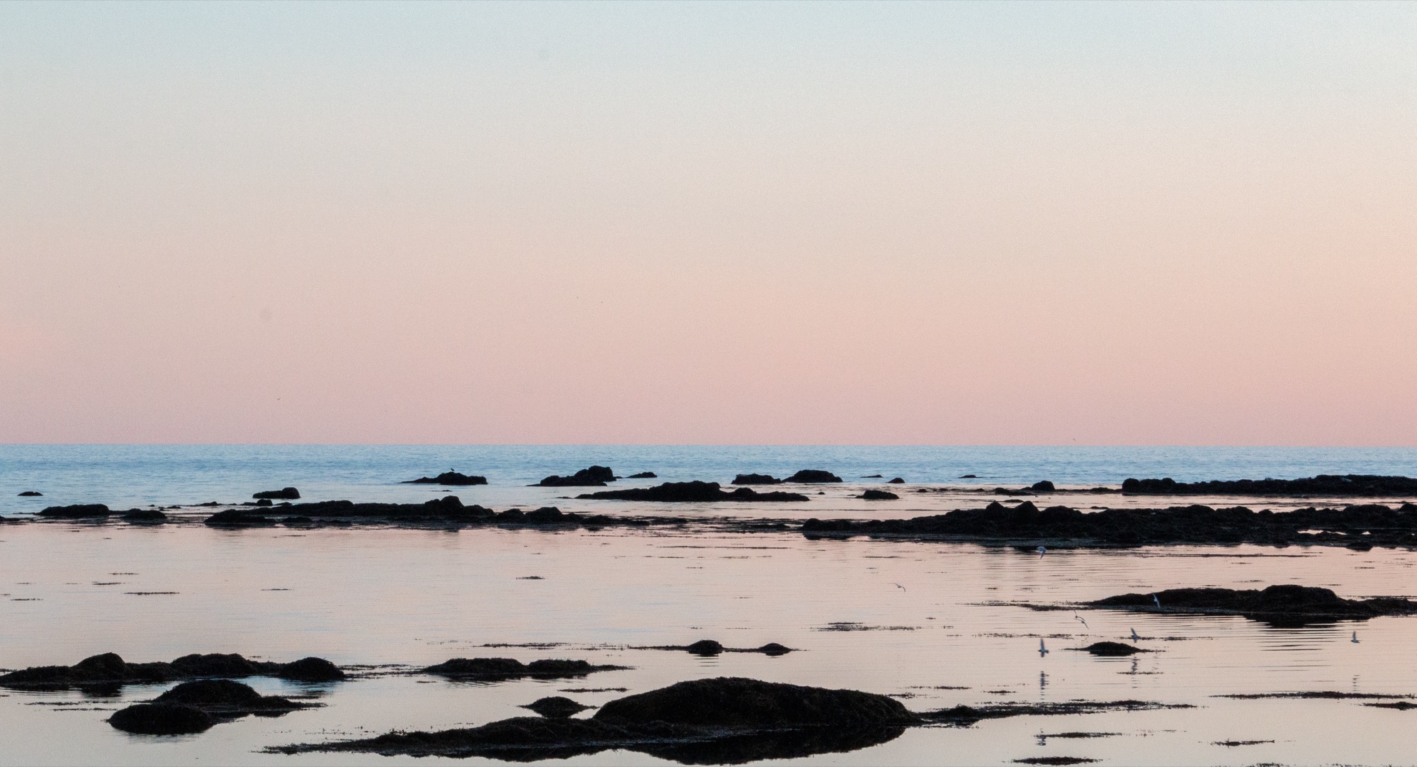 Rocky tidal flats mirroring a pale pink and blue dusk sky, the sea flat to the horizon
