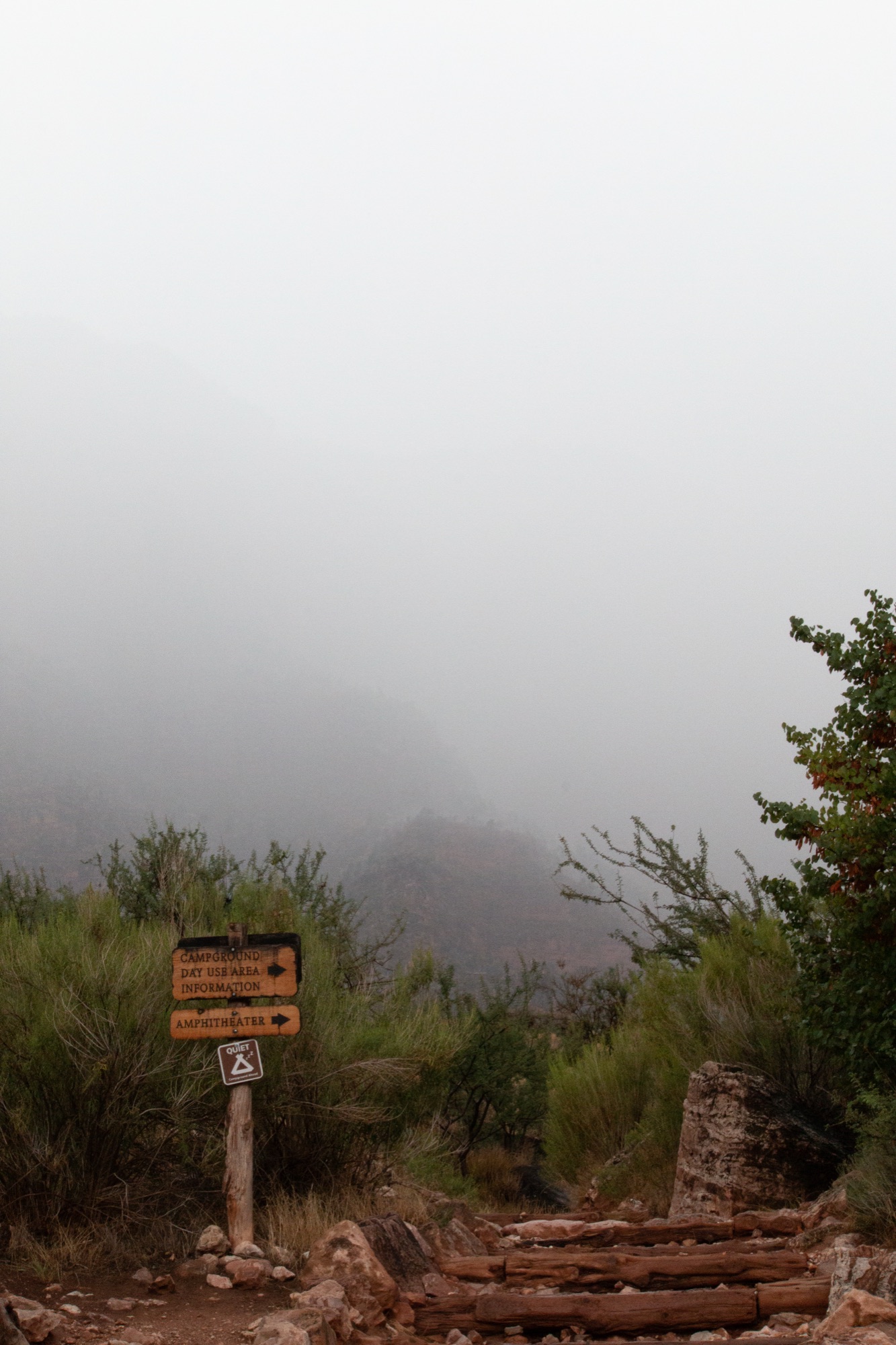 A trail junction signpost within a canyon swallowed by thick fog, scrub and log steps in the foreground